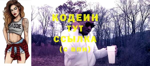 сатива Горнозаводск