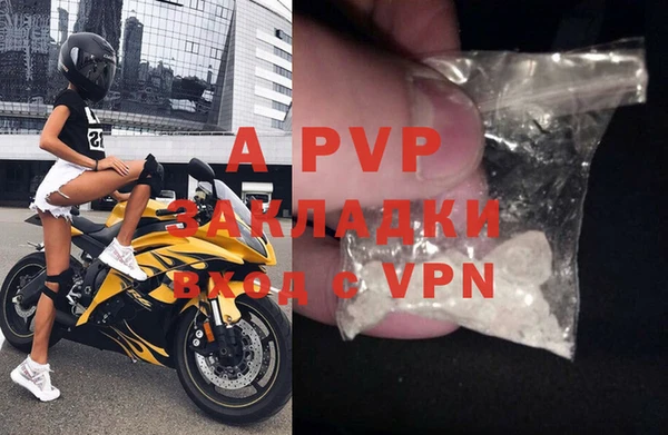 сатива Горнозаводск