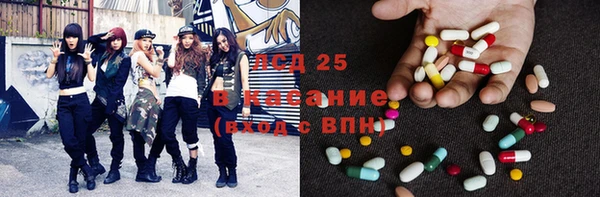 сатива Горнозаводск