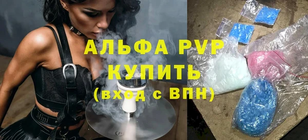 сатива Горнозаводск