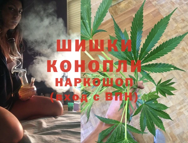 сатива Горнозаводск
