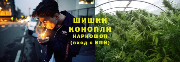 сатива Горнозаводск