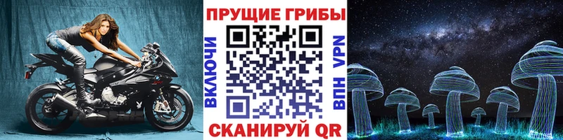 Купить где  Куса  Псилоцибиновые грибы Psilocybine cubensis 