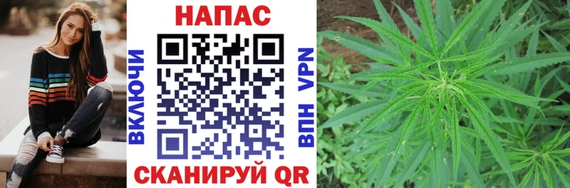 Купить где  Куса  Канабис OG Kush 